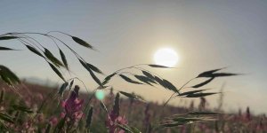 Ağrı'da göz kamaştıran gün batımı