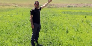 Artvinli Taner öğretmen Ağrı kırsalında ekilmeyen iki araziyi tarıma kazandırdı