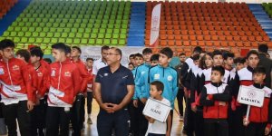 Analig Hentbol yarı finalleri Elazığ'da