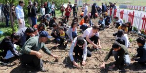 Ağrı'da öğrenciler okulun atıl bahçesini bostana dönüştürüp tarımı öğreniyor