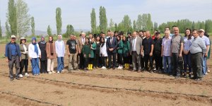 Erzincan'da öğrenciler ile girişimci kadınlar 20 bin domates fidesini toprakla buluşturdu