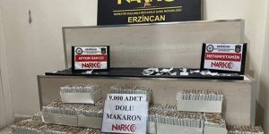 Erzincan'da uyuşturucu satıcılarına yönelik operasyonda 1 kişi tutuklandı