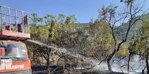 Tunceli'de iki köyde çıkan örtü yangınları söndürüldü