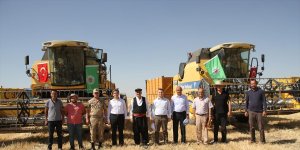 Malazgirt'te buğday hasadı devam ediyor