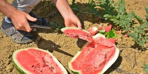 Bunaltıcı sıcaklar vatandaşı sulu meyvelere yönlendirdi