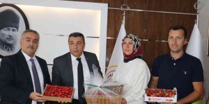 MTB Başkanı Özcan, çilek üreticilerini ödüllendirdi