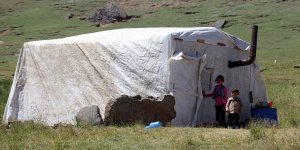 Yağışlarla canlanan Ağrı yaylaları göçerleri ağırlıyor