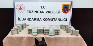 Erzincan'da tır içerisinde 25 kilo 720 gram eroin ele geçirildi