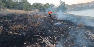 Bingöl'de 3 köyde çıkan orman yangınları söndürüldü