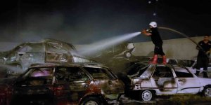 Van'da yangın, 11 araç hasar gördü