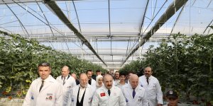 Bakan Varank, Erzurum'da termal kaynakla domates üretilen seranın açılışında konuştu: