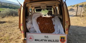 Malatya'da kayısı hırsızlığı şüphelisi yakalandı