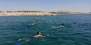 Van'da gönüllüler Çarpanak Adası'ndan yarımadaya kadar yüzdü