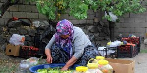 Erzincan'da kadınların turşu mesaisi başladı