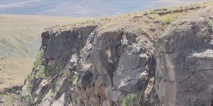 Ağrı'da kayalıklarda mahsur kalan keçiler kurtarıldı