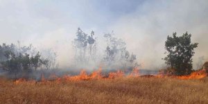 Bingöl'de orman yangını büyümeden söndürüldü