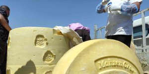 Festivale 1 tonluk kaşar damga vurdu