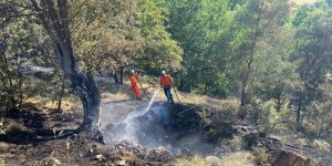 Bingöl'de orman yangını söndürüldü