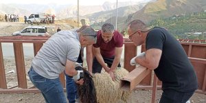 Hakkari'de kurbanlık satışları sürüyor