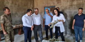 Kaymakam Aydoğan koza hasadına katıldı