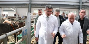 Erzurum Valisi Memiş, 'Avrupa'nın en büyük canlı hayvan pazarında' incelemelerde bulundu