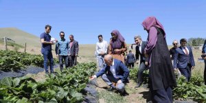 Ağrı Valisi Varol'dan Kadın Kooperatifi'ne ziyaret