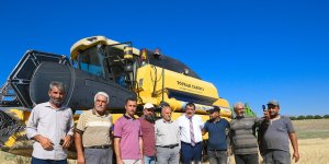 Çiftçilere dağıtılan tohumlar hasat ediliyor