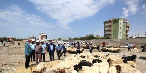 Tuşba Belediye Başkanı Akman kurbanlık satış noktalarını gezdi