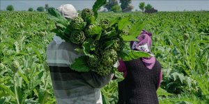 Migros gıda perakende sektörünün ilk Entegre Sürdürülebilirlik Raporu'nu yayınladı