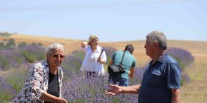 Lavanta tarlalarında görsel şölen