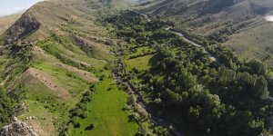 Iğdır'ın Üçkaya Vadisi yeşiliyle Karadeniz'i andırıyor