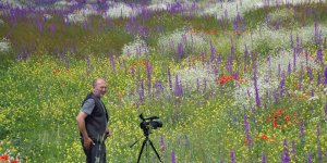 Kars gökkuşağı gibi