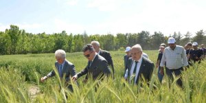 Erzurum'da 3 bin 800 svat törenle çiftçilere dağıtıldı