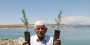 Ömrünü ağaçlara adadı, 38 yılda köyün çehresini değiştirerek 30 bin ağaç dikti