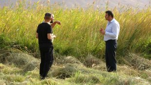 'Kuş cenneti' Nehil Sazlığı için sıkı tedbir