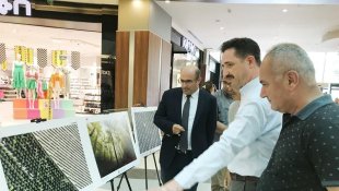 Dereceye giren fotoğraflar görücüye çıktı