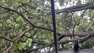 Malatya'da şiddetli fırtına etkili oluyor