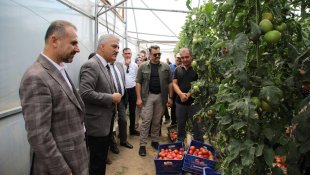 Ahıska Türkleri seralarda yetiştirdikleri sebzelerle ekonomiye katkı sağlıyor