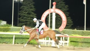 Elazığ TSO koşusunu Into kazandı