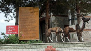 Erzincan'da şifalı su