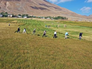Tırpanla ot biçen çiftçiler, zorlu işlerini şarkılarla eğlenceye dönüştürüyor