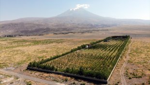 Çorak araziye kurduğu meyve bahçesiyle turizme de hizmet etmek istiyor