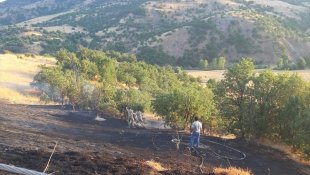 Bingöl'de çalılıkta çıkan yangın ormana sıçramadan söndürüldü