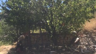 Erzincan'da kayısı toplama nedeniyle çıkan tartışmada 1 kişi öldü