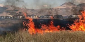 Çocukların oyunu buğday tarlasını yaktı, 20 dönüm küle döndü