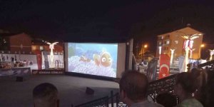 Hakkari'de 'Kayıp Balık Memo" filmi izletildi