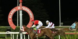 Elazığ İl Tarım ve Orman Müdürlüğü Koşusu'nu Yutangirdap kazandı