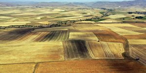 Ağrı'daki çiftçiler arpa ve buğday tarlalarında yoğun hasat mesaisinde