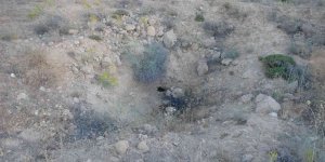 'Altında altın var' söylentisi höyüğü savaş alına çevirdi