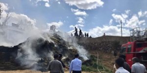 Van'da 5 bin bağ ot yandı